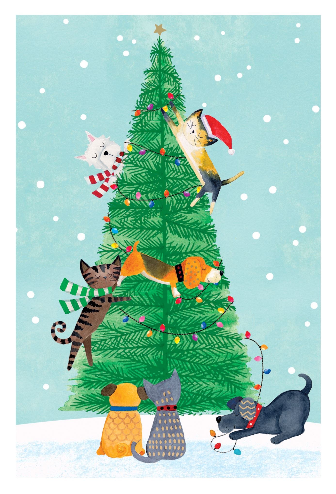 Christmas - Pet Tree Lighting