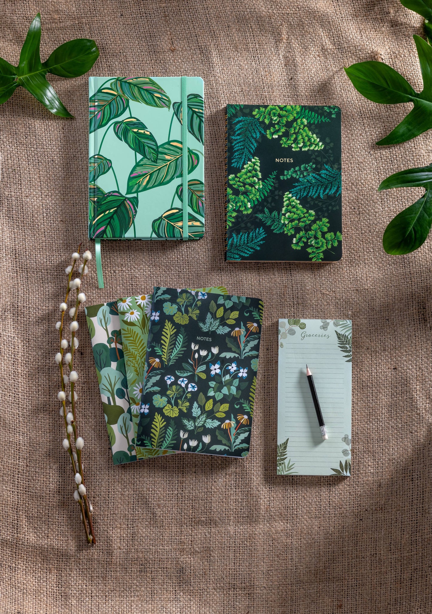 Greenery High Note® 3-Pack Notebook Set, featuring botanical art by Carrie Shryock, available at stationery stores. 5.75" x 8.25" size.