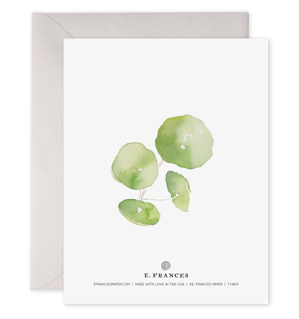 Pancake Plant Thank You Boxed Card Set