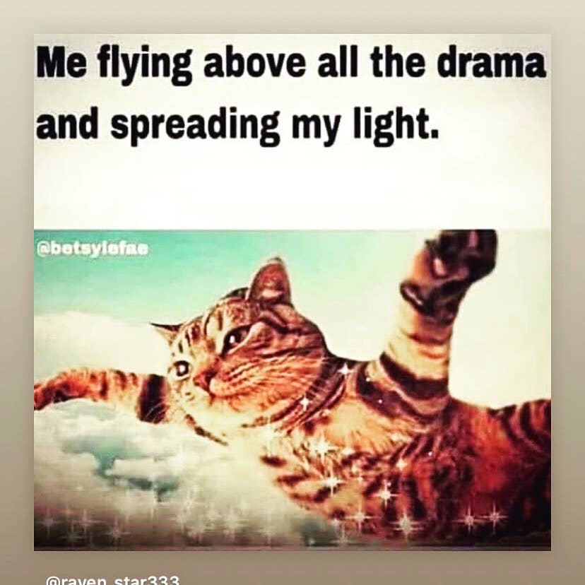 Humorous image of a cat flying above clouds with text "Me flying above all the drama and spreading my light."
