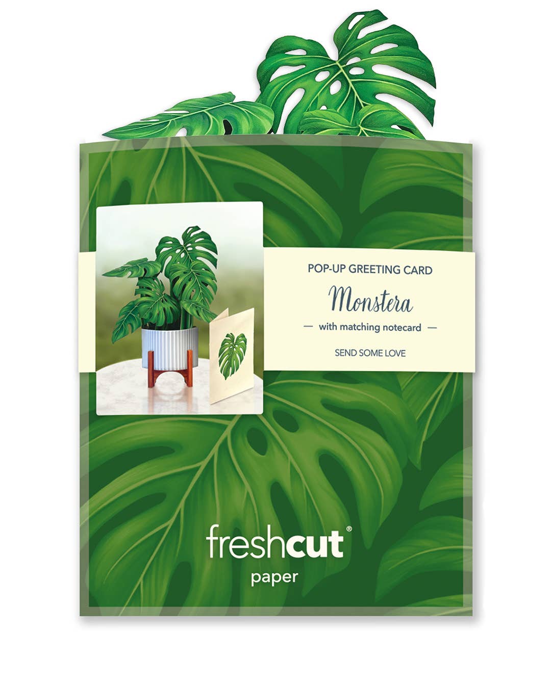 Mini Monstera Plant Pop-up Greeting Card by FreshCut Paper with note card, perfect for stationery store gifts.