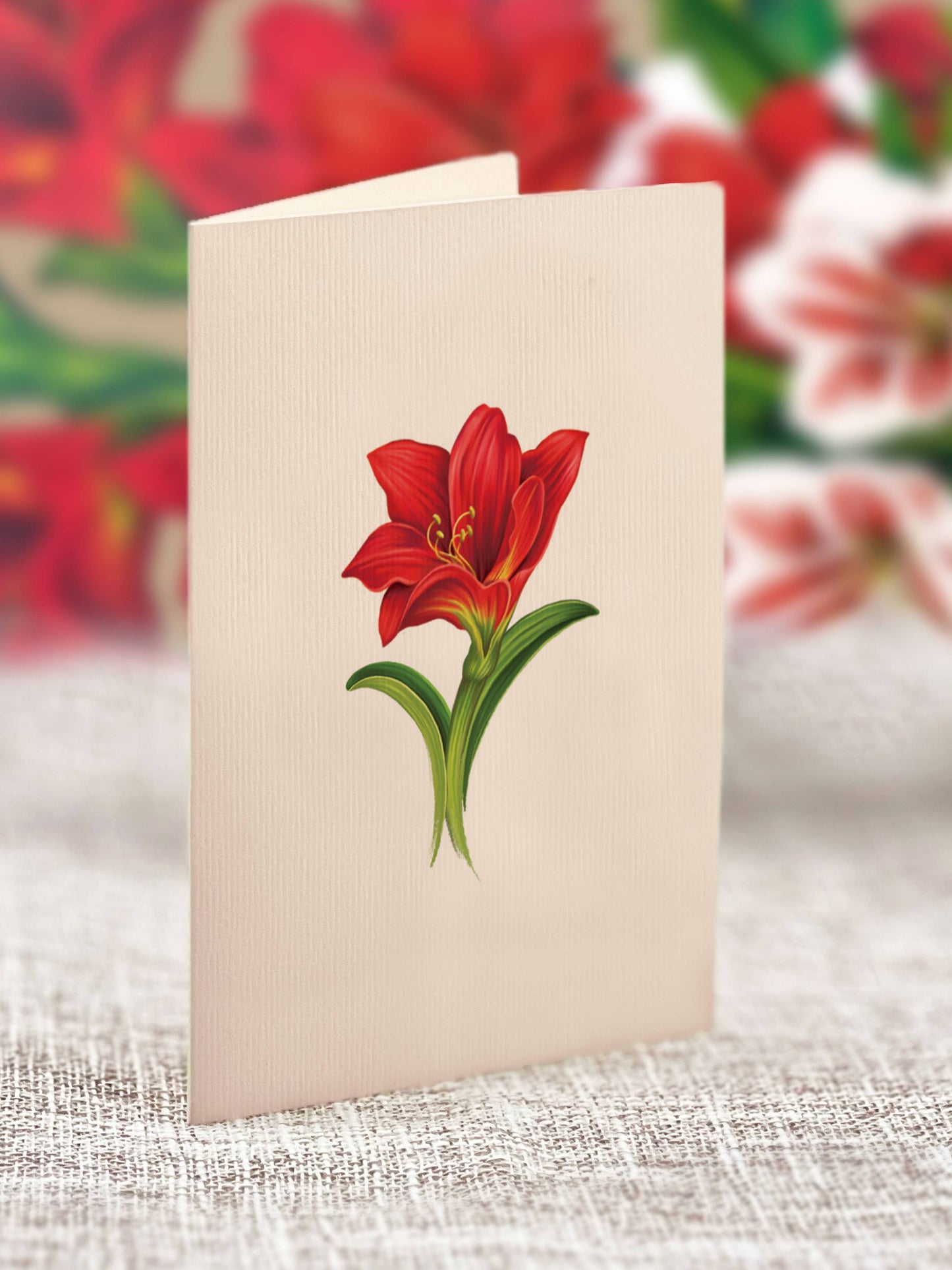 Mini Scarlett Amaryllis pop-up greeting card with scarlet blossoms, perfect for holiday stationery gifts at a stationery store.