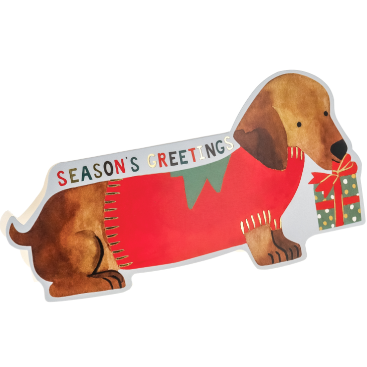 Festive Holiday Dogs Christmas card featuring a dachshund in a sweater, holding a gift. Part of boxed set from a stationery store.