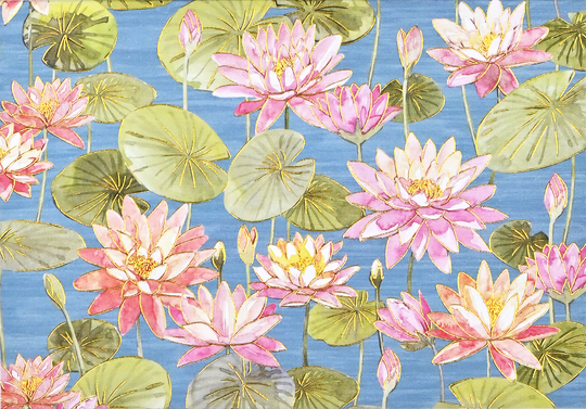 Note cards - Water Lilies