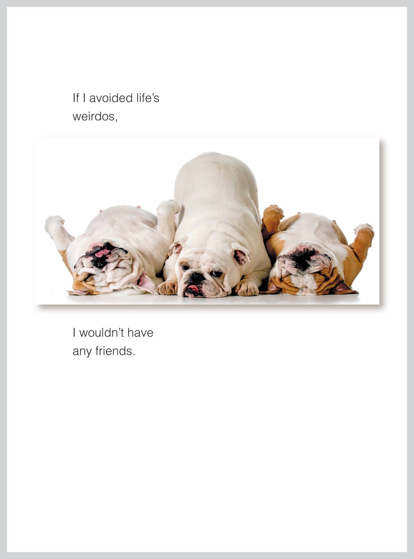 Three bulldogs lying down inside 'If I avoided life's weirdos' Birthday All Occasion Greeting Card from stationery store.