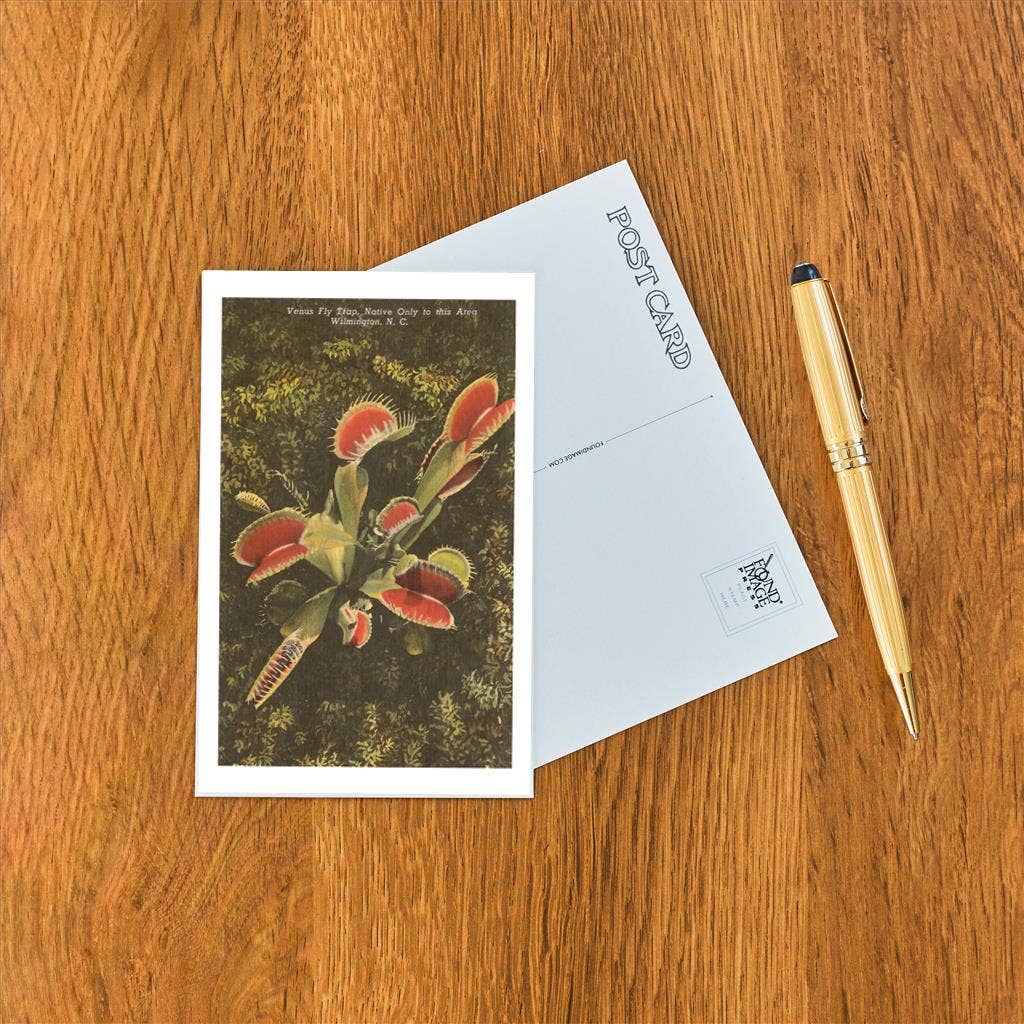 Postcard - Venus Fly Trap, Wilmington