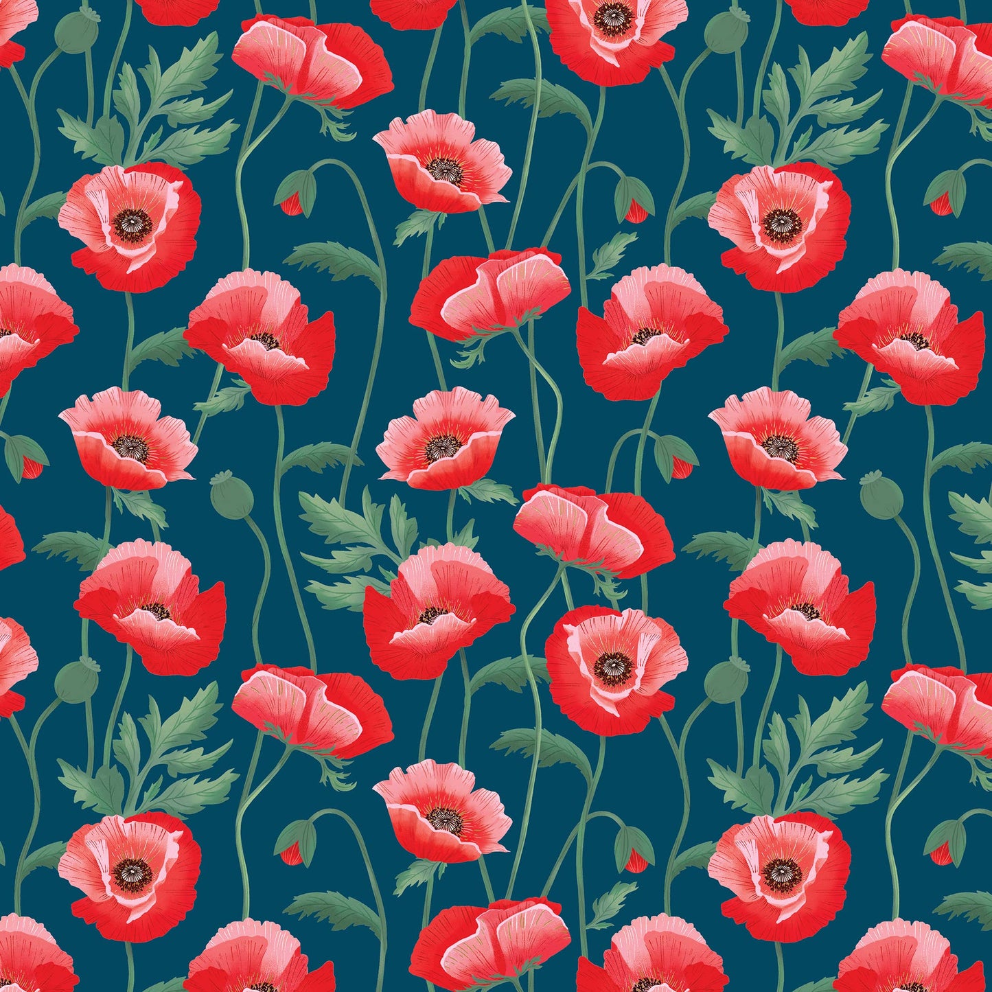 Wrap - Rolls - Pretty Poppies