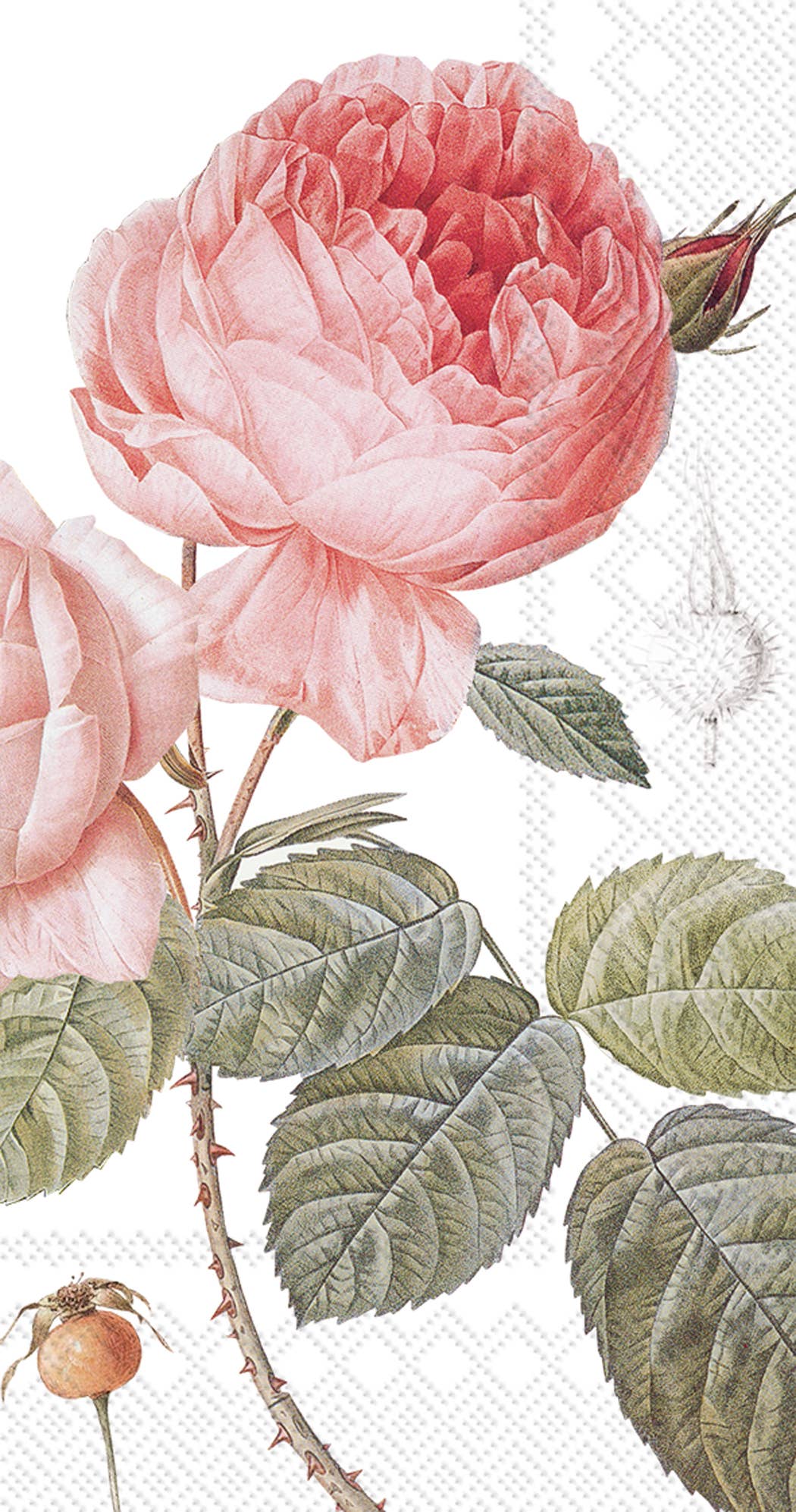 Vintage-style illustration of a pink rose with green leaves on a textured background, reminiscent of a botanical print for a stationery store.