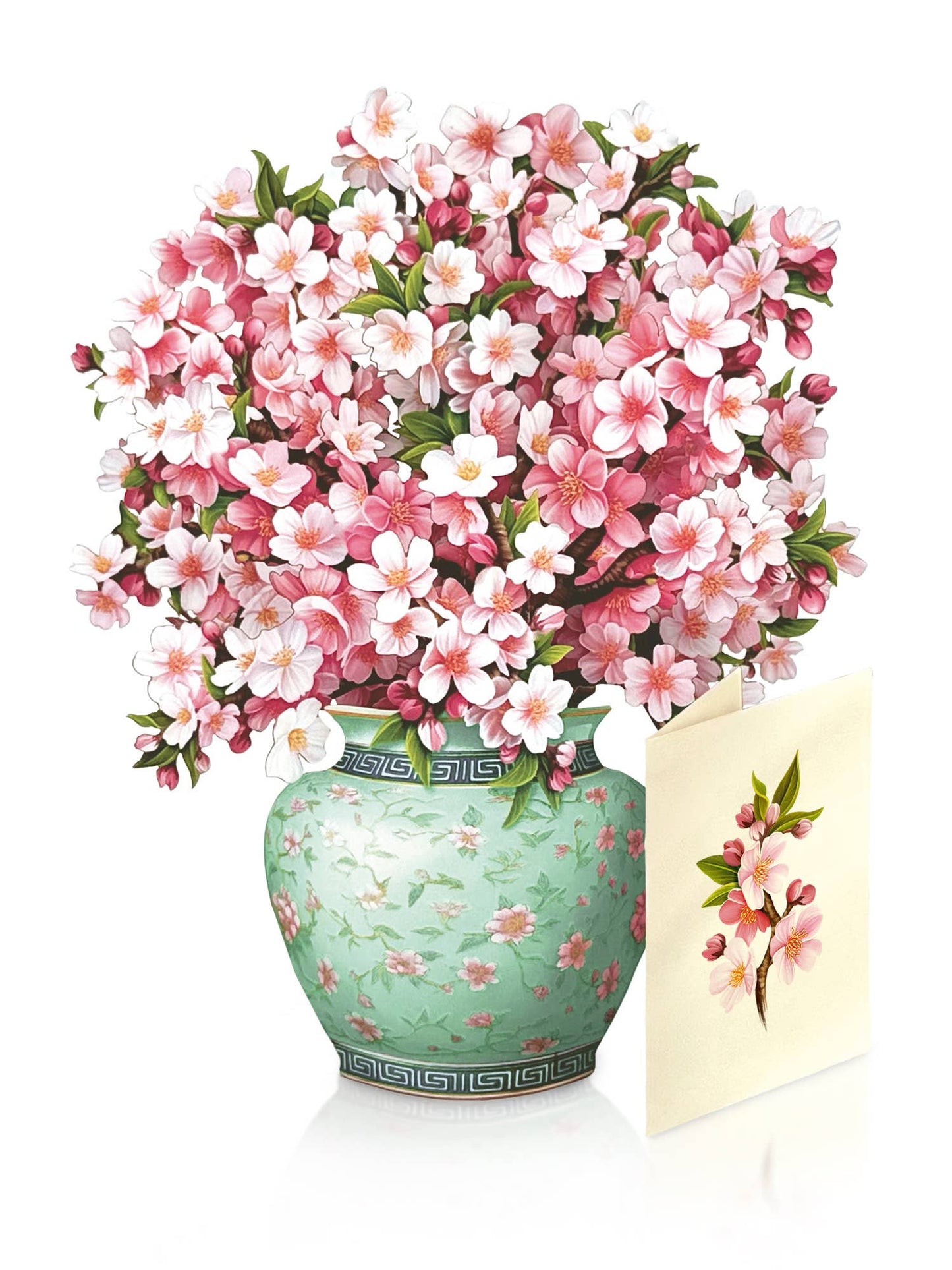Mini Japanese Cherry Blossom Pop Up Card with vase and notecard from stationery store, featuring soft pink sakura flowers in jade vase.