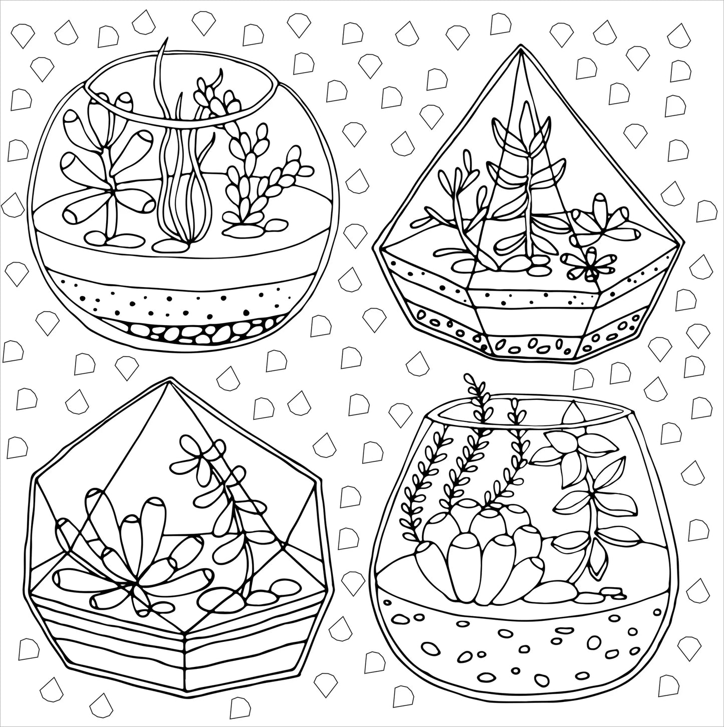 Artist Coloring Book Studio Series - Succulents - available at Occasions Just Write