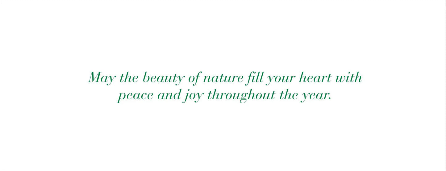 Winter Forest Friends Panoramic Boxed Holiday Cards