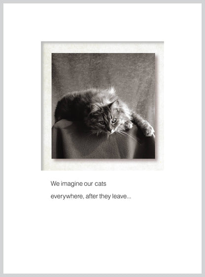 We imagine our cats Pet Sympathy Greeting Card