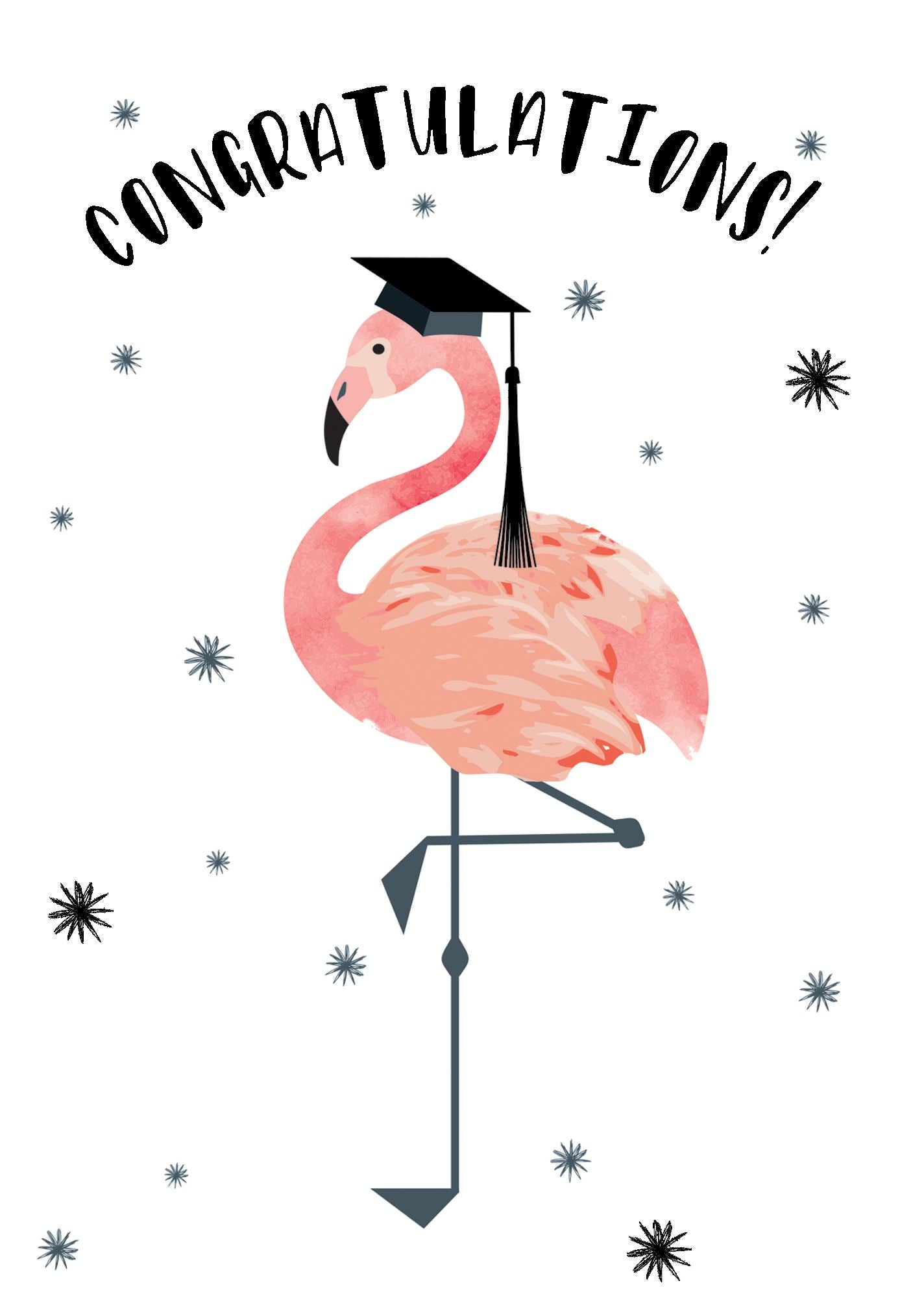 Graduation Flamingo