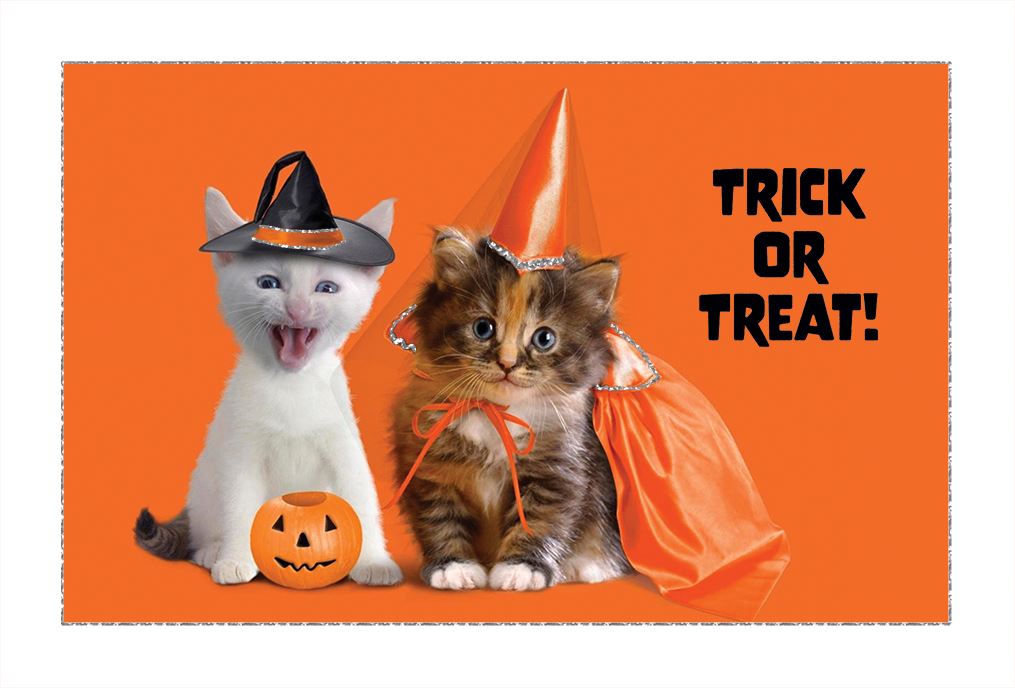 Halloween - Costume Kitties