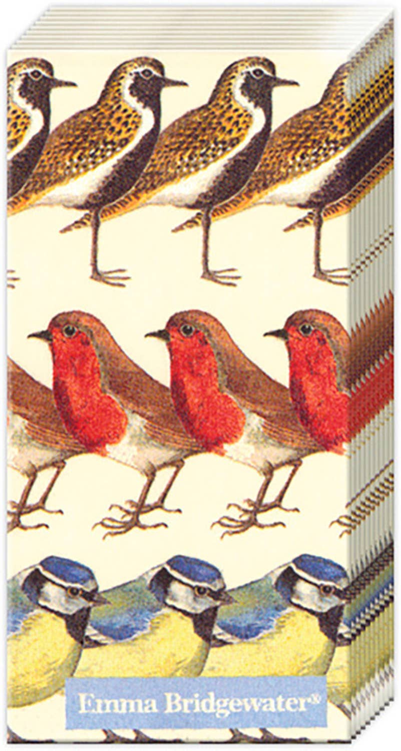 Pocket tissues pack featuring bird designs, 10 packs, 4-ply, ideal for stationery stores, SKU PT532800 by IHR.