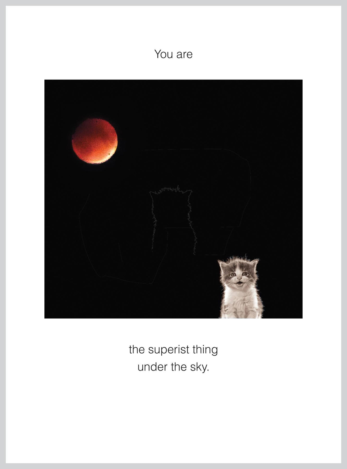 You are the superist Birthday Greeting Card