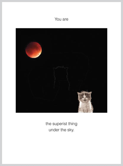 You are the superist Birthday Greeting Card