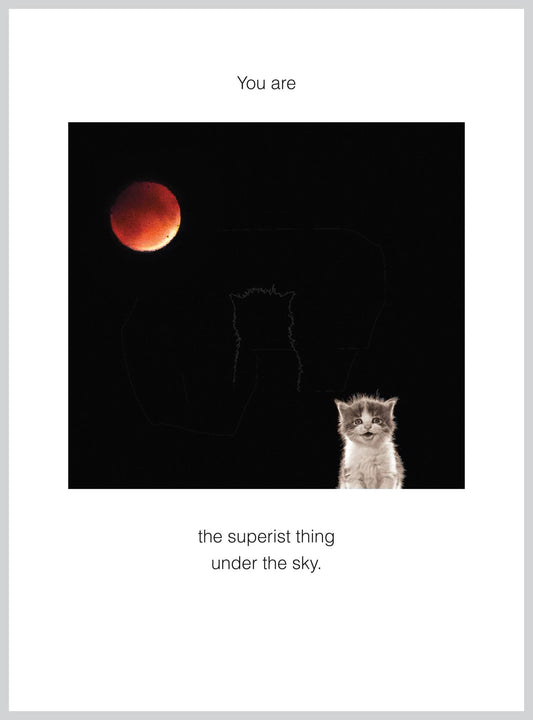 You are the superist Birthday Greeting Card