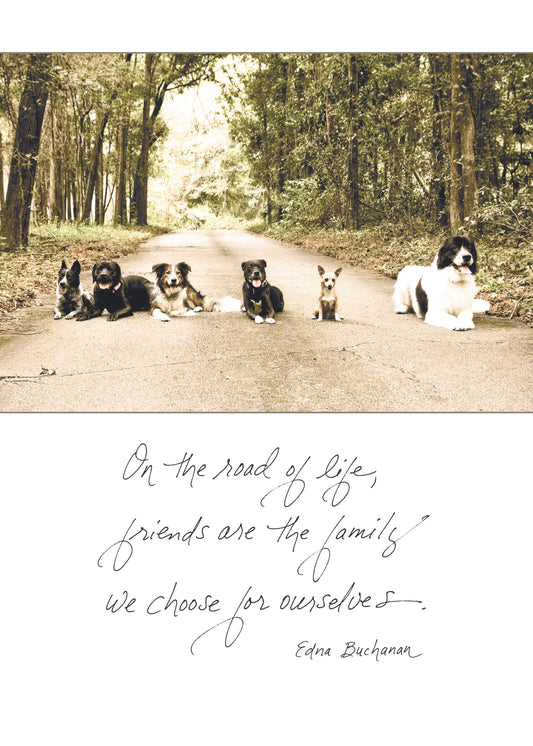 Group of dogs on a forest road with quote 'On the road of life, friends are the family we choose.' from Stationery store greeting card.