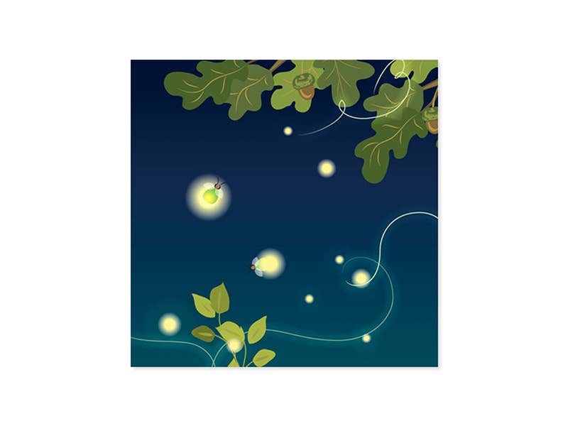 Lightning Bugs Pop-Up Card