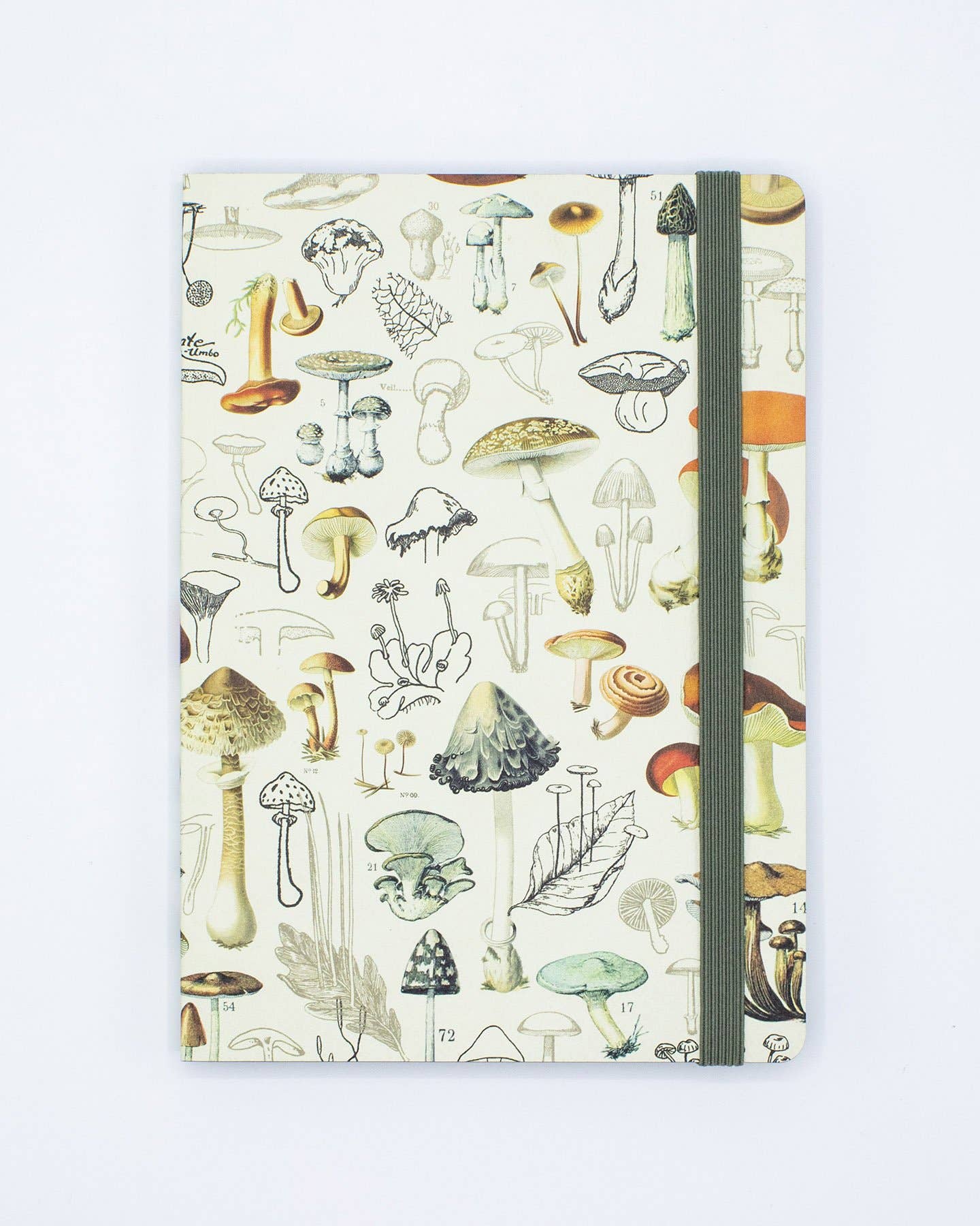 Woodland Mushrooms A5 Softcover notebook with mushroom illustrations, featuring an olive elastic, ideal for journaling. Available at stationery store.