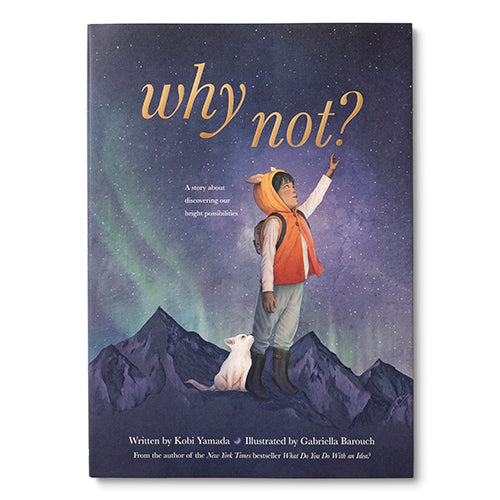 Alt Tag: Cover of 'Why Not?' with illustration of a child pointing to the sky, featured at a stationery store.