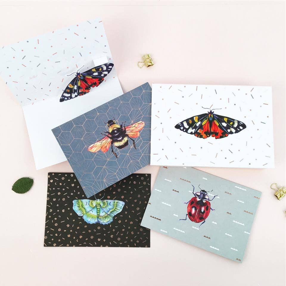 Wings Boxed Dimensional Pop-Up Card Set with Gold Foil, featuring insect designs, available at stationery store. Includes matching envelopes.