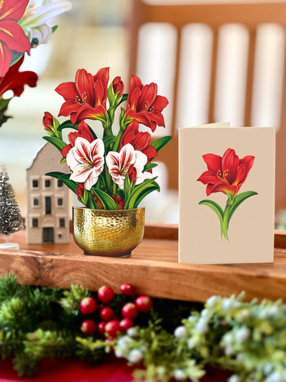 Mini Scarlett Amaryllis Pop-up Greeting Card