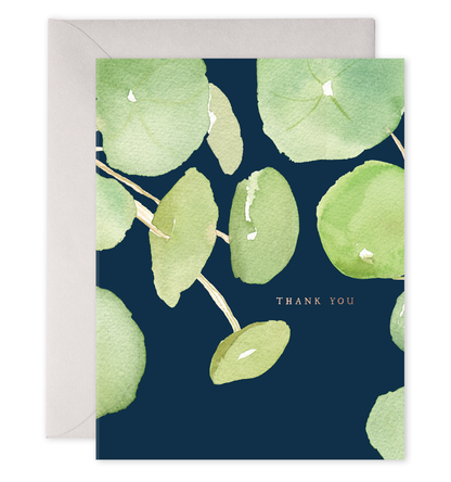 Pancake Plant Thank You Boxed Card Set