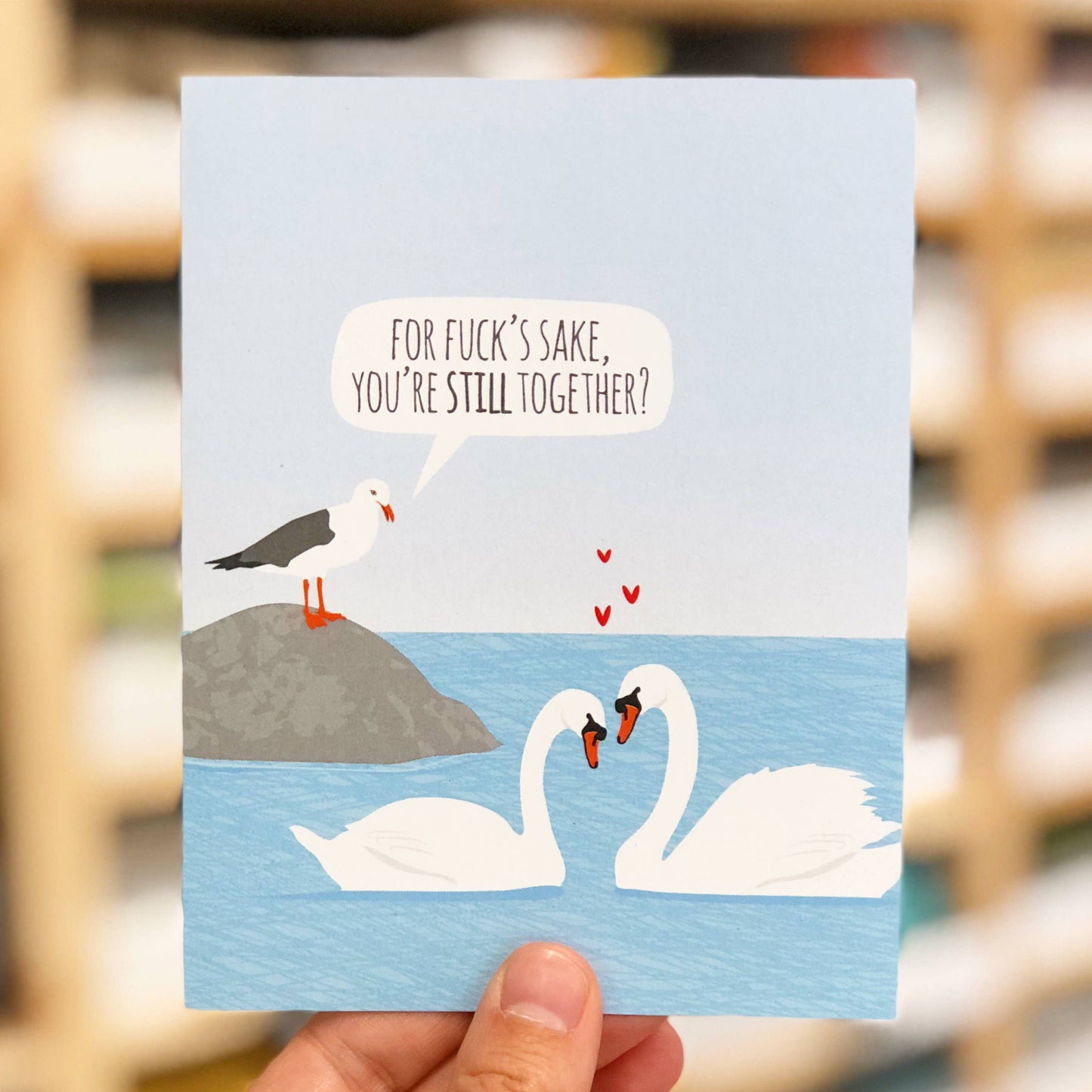 Anniversary Swans Seagull Card with swans and seagull in humorous conversation, sold in a stationery store. Eco-friendly materials.