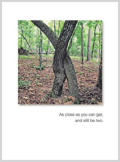 Anniversary Greeting Card with intertwined trees, "As close as you can get," text; stationery store; 5x6.75 inches eco-friendly USA product