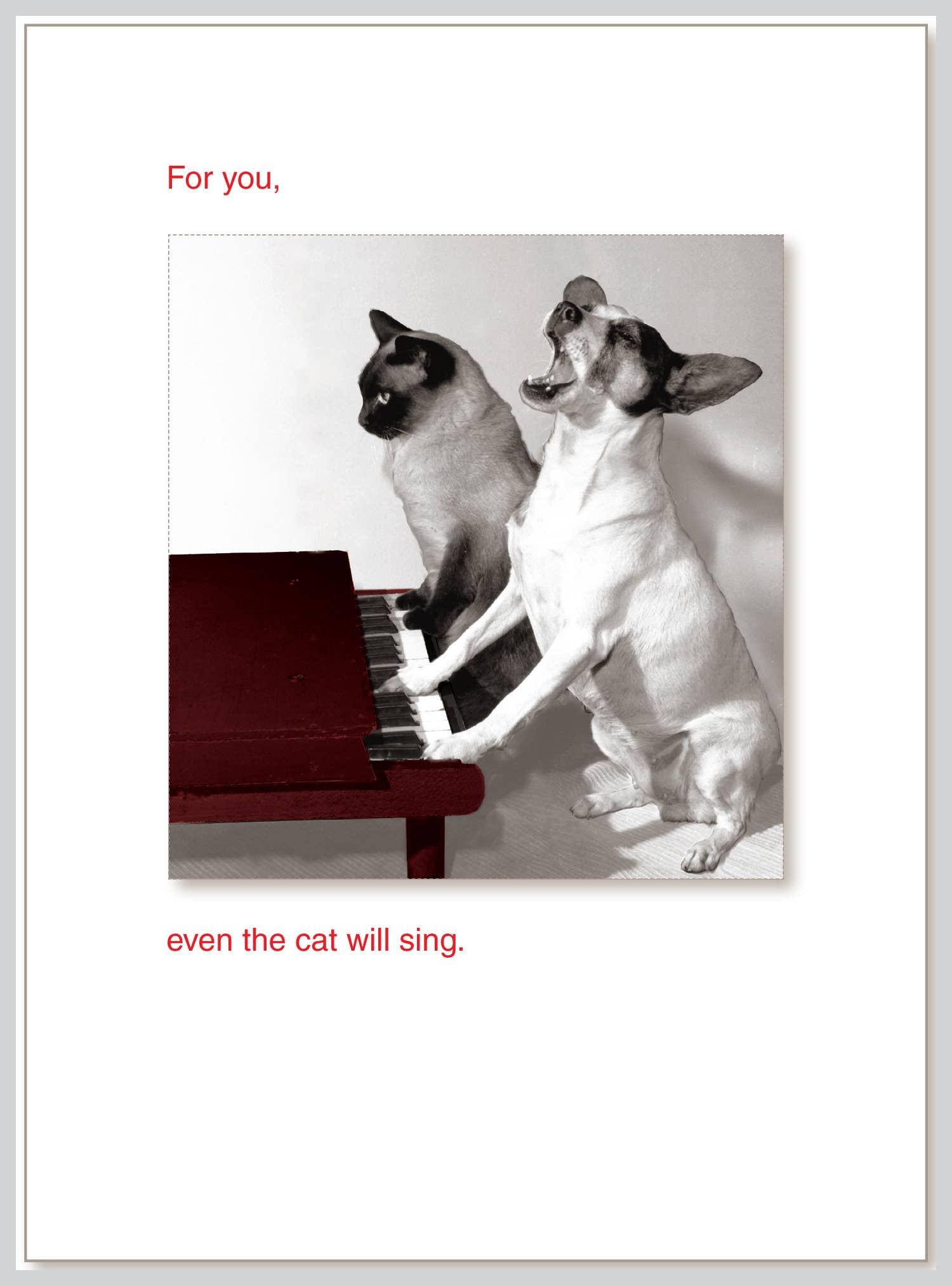 Alt Tag: Birthday greeting card "For you, even the cat will sing" with dog and cat at piano, stationery store exclusive, 5x6.75 inches, USA made.