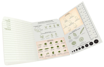 Open Botany Naturalist's Notebook with leaf charts and guides, perfect for field observations or stationery store finds.