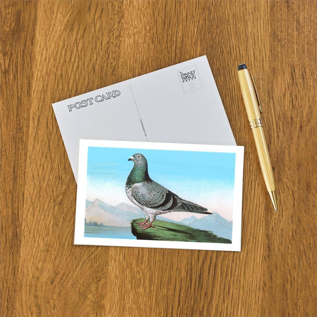 Postcard - Proud Pigeon