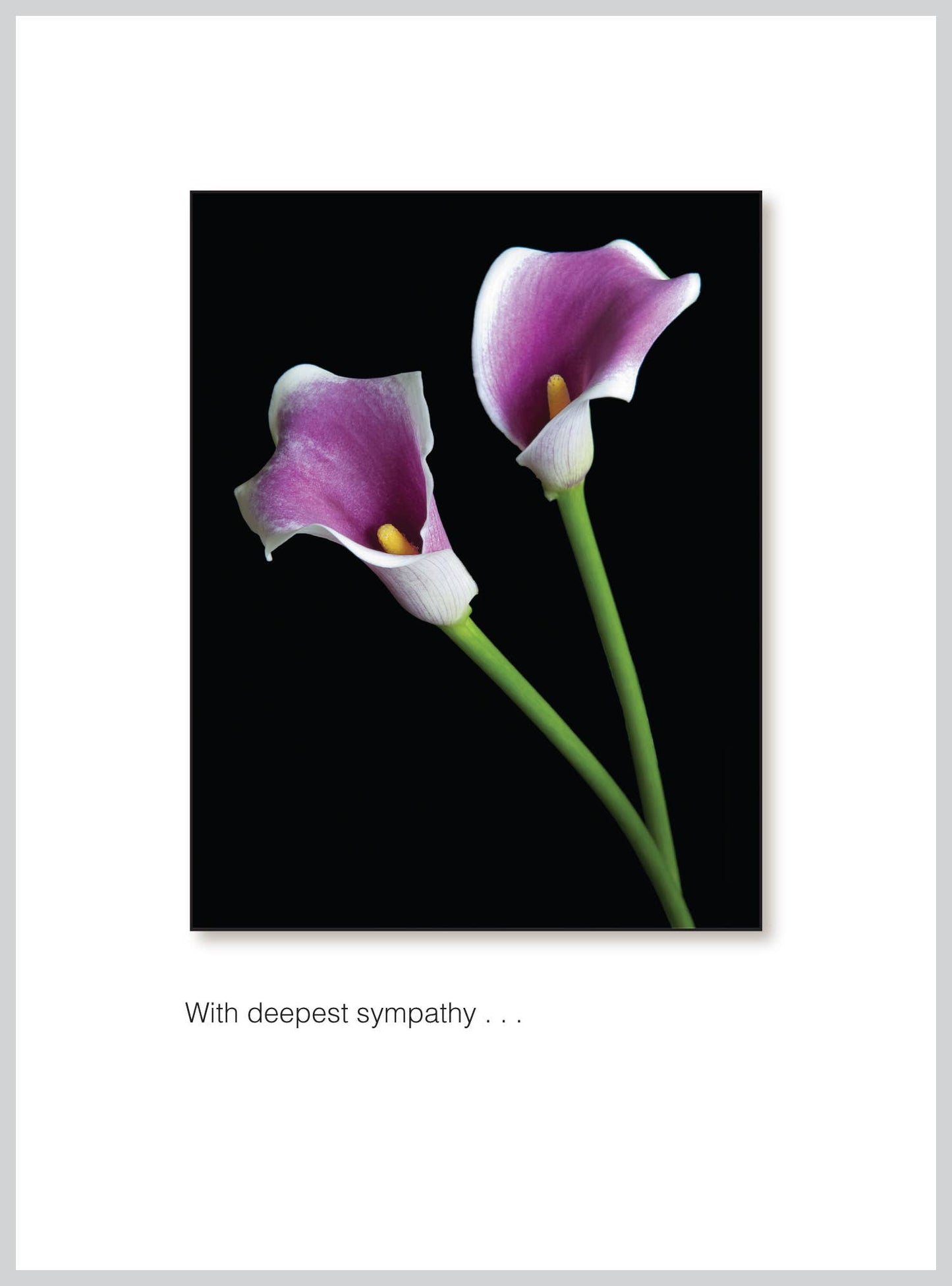 Alt Tag: With deepest sympathy greeting card with calla lilies, available at stationery store, includes envelopes, renewable energy printed in USA.