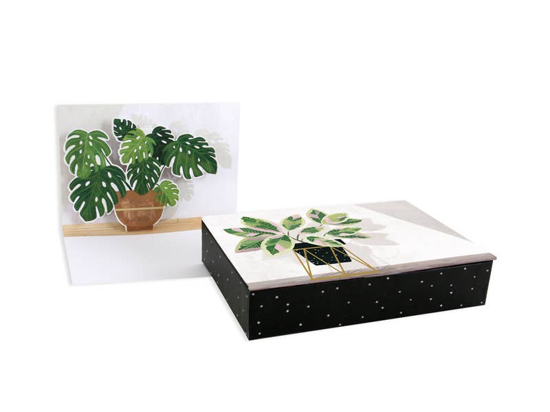 Potted Plants Pop-Up Card set with 8 dimensional cards, die-cut edges, and gold foil in a keepsake box. Available at the stationery store.