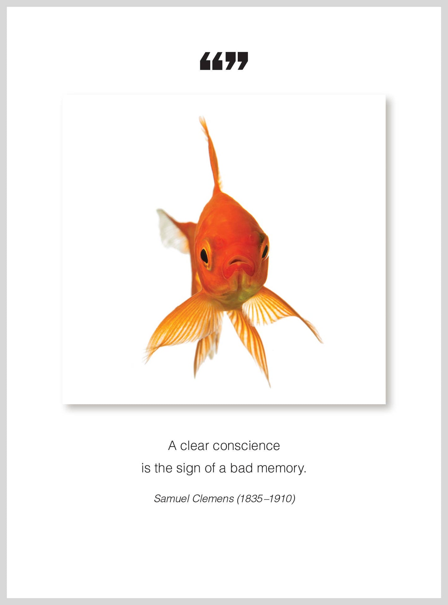 Bad memory Belated Birthday Greeting Card