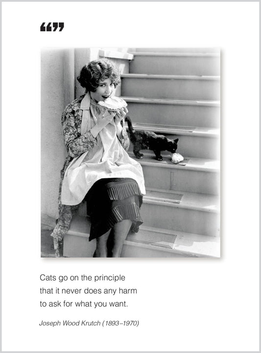 Vintage photo on 'Cats go on' All Occasion Greeting Card with quote, 5x6.75 inches, stationery store exclusive, eco-friendly print.