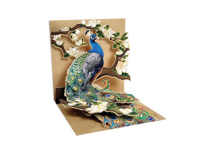 Peacock & Magnolias pop-up card with vibrant colors, ideal for birthdays and special occasions. Available at your favorite stationery store.