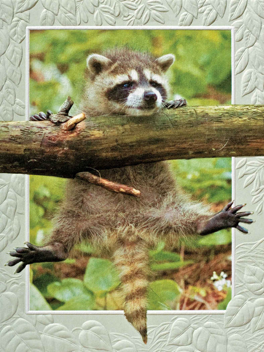 Hang In There (EN) - Petite
