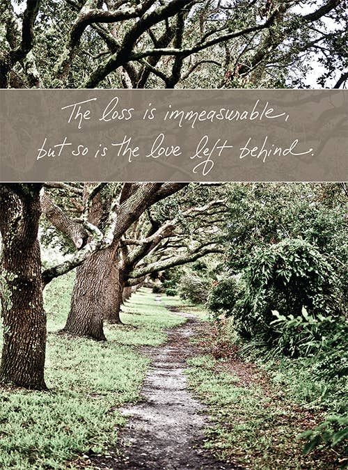 Pathway under tree canopy with text: 'The loss is immeasurable, but so is the love left behind'; Stationery store Sympathy Card.