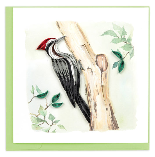 Pileated Woodpecker