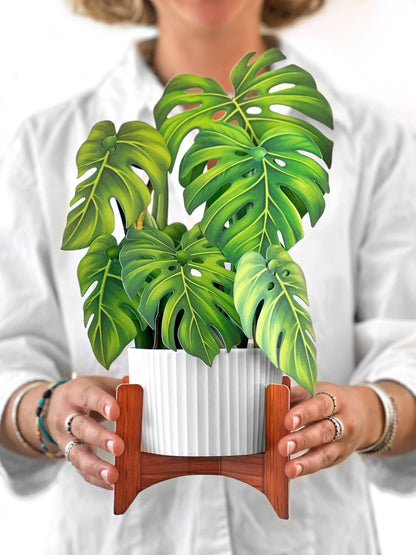 Decorative Monstera Plant Pop-up Greeting Card displayed with mahogany stand and white planter, available at stationery store.