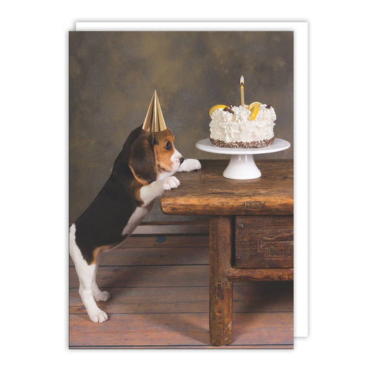 Dog Cake Birthday Card