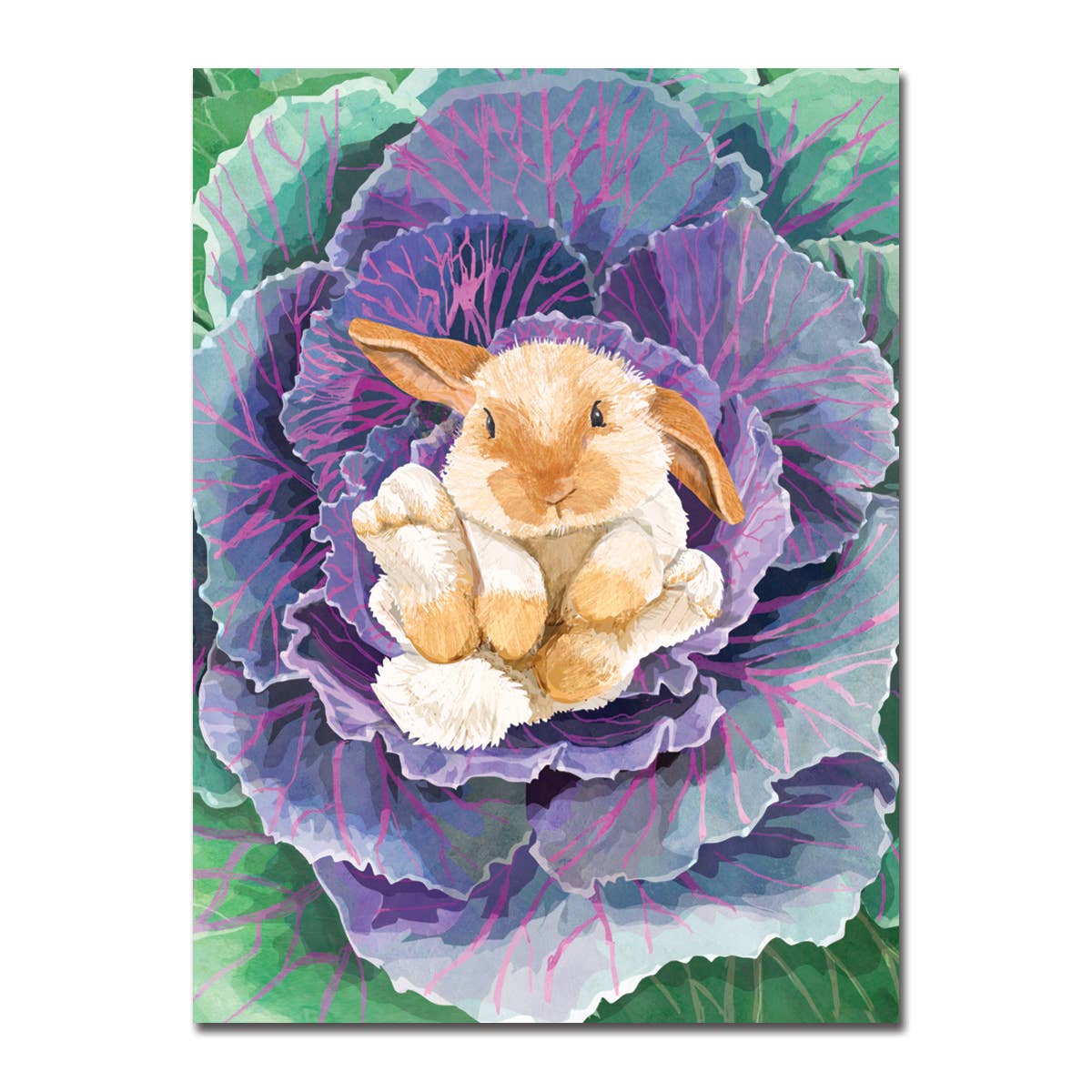 Cabbage Bunny New Baby Card