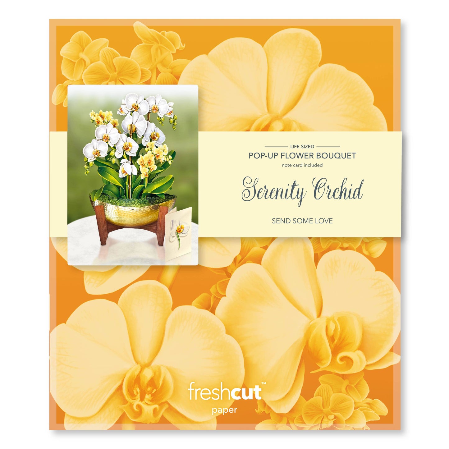 Serenity Orchid Pop-up Greeting Card