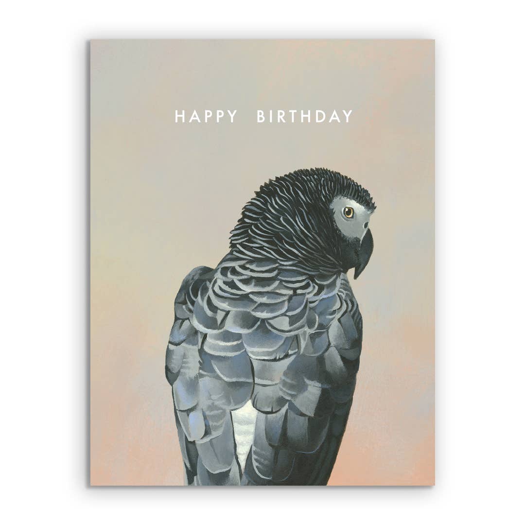 African Grey Parrot Birthday Greeting Card from stationery store, blank interior, includes envelope, packaged in clear cello sleeve.