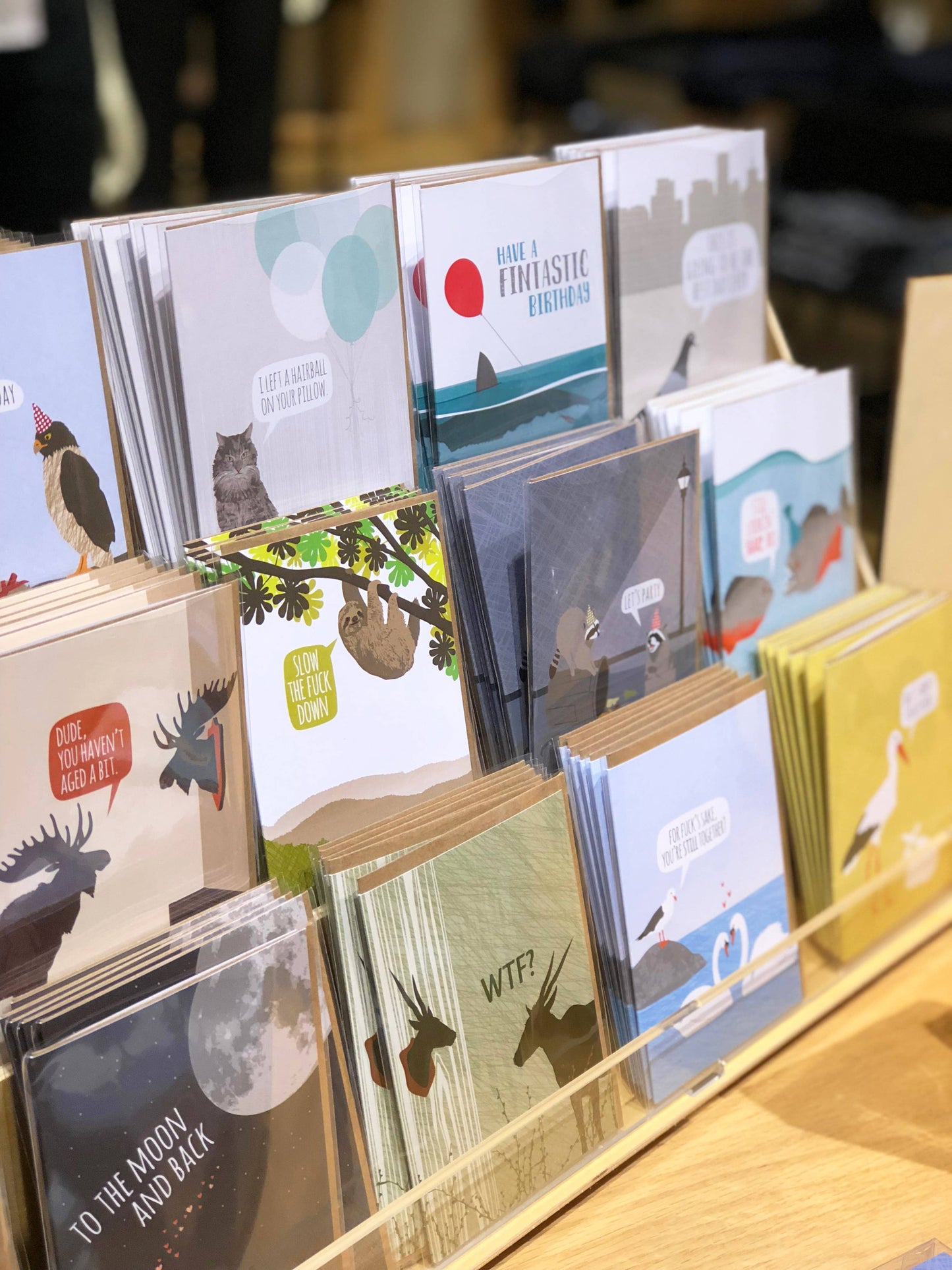 Display of funny birthday cards including an aged moose trophy design, available at stationery store. Eco-friendly, recycled paper.