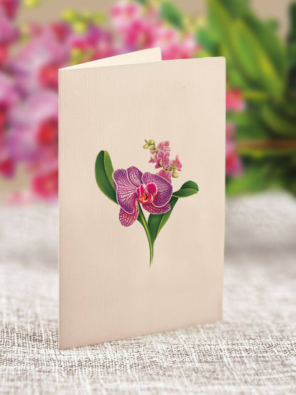 Mini Orchid Oasis Pop-up Greeting Card