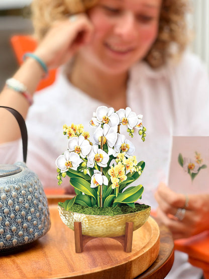 Mini Serenity Orchid Pop-up Greeting Card with white and yellow blossoms, perfect for home decor from a stationery store.